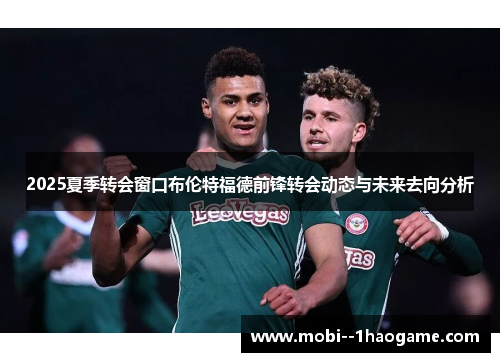 2025夏季转会窗口布伦特福德前锋转会动态与未来去向分析